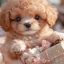 images (7) images (7)